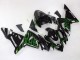 Lojas Carenagens Moto Kawasaki ZX10R 2004-2005 - Preto Verde Chama Ninja