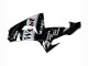 Lojas Carenagens Moto Kawasaki ZX10R 2006-2007 - Preto Brilhante Branco West