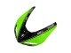 Lojas Carenagens Moto Kawasaki ZX10R 2006-2007 - Verde Preto Elf Touch4 3M