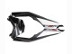 Lojas Carenagens Moto Kawasaki ZX10R 2008-2010 - Preto Brilhante Branco Verde Monstro Elf
