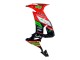 Lojas Carenagens Moto Kawasaki ZX10R 2008-2010 - Vermelho Verde Preto