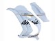 Lojas Carenagens Moto Kawasaki ZX10R 2016-2020 - Branco Ouro Preto