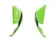 Lojas Carenagens Moto Kawasaki ZX10R 2021-2025 - Verde Preto Vermelho