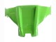 Lojas Carenagens Moto Kawasaki ZX10R 2021-2025 - Verde Preto Vermelho
