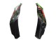 Lojas Carenagens Moto Kawasaki ZX10R 2021-2025 - Verde Preto Vermelho