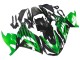 Lojas Kits Carenagem Moto Kawasaki ZX14R ZZR1400 2012-2024 - Verde Preto Brilhante
