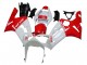 Lojas Carenagens Moto Kawasaki ZX6R 2003-2004 - Branco Vermelho