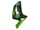 Lojas Carenagens Moto Kawasaki ZX6R 2003-2004 - Preto Brilhante Verde Chama
