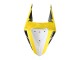 Lojas Carenagens Moto Yamaha YZF R3/R25 2019-2021 - Amarelo Branco Preto Listra