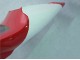 Lojas Carenagens Moto Yamaha YZF 1000 R1 1998-1999 - Vermelho Branco Preto Dunlop