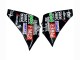 Lojas Carenagens Moto Yamaha YZF 1000 R1 2012-2014 - Preto Brilhante Branco Vermelho Fimer Yamalube Sterilgarda 87