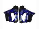 Lojas Carenagens Moto Kawasaki ZX9R 2000-2001 - Preto Brilhante Azul Chama Branco