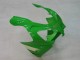 Lojas Carenagens Moto Kawasaki ZX9R 2000-2001 - Verde Prata Preto