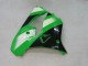 Lojas Carenagens Moto Kawasaki ZX9R 2000-2001 - Verde Prata Preto