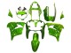 Lojas Carenagens Moto Kawasaki ZX9R 2000-2001 - Verde Chama
