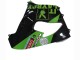 Lojas Carenagens Moto Kawasaki ZX9R 2000-2001 - Verde Preto Playboy DENSO