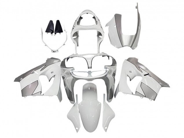 Lojas Carenagens Moto Kawasaki ZX9R 2002-2003 - Branco Prata