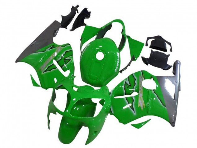 Lojas Carenagens Moto Kawasaki ZX12R 2002-2006 - Verde Prata