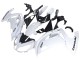 Lojas Carenagens Moto Kawasaki EX650 2012-2016 - Branco Preto