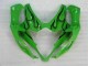 Plástico GSXR 1000 K5 2005-2006 - Verde Plástico GSXR 1000 K5 2005-2006 - Verde